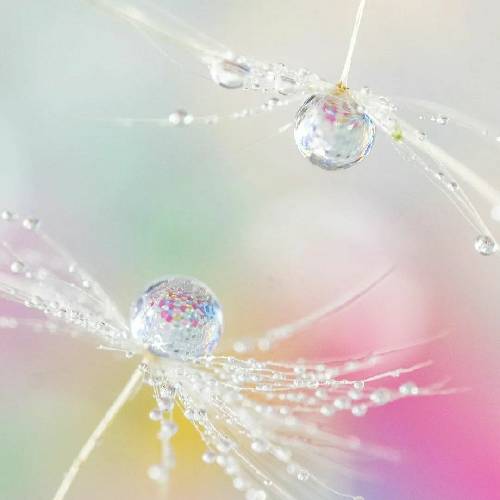  یکی دیگه ام سلامتی ناظمم که زد چکو وقتی که نیازی نبود